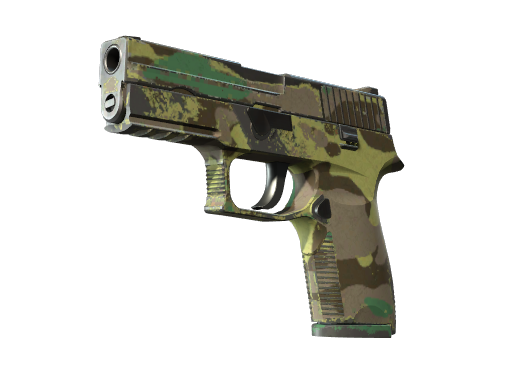 CS2 P250 | Boreal Forest - 1