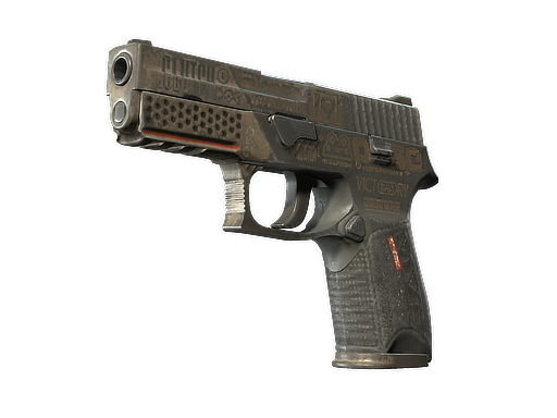 P250 | Bullfrog | Battle-Scarred