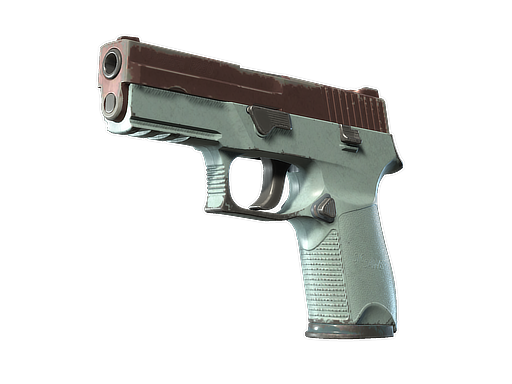 CS2 P250 | Copper Oxide - 1