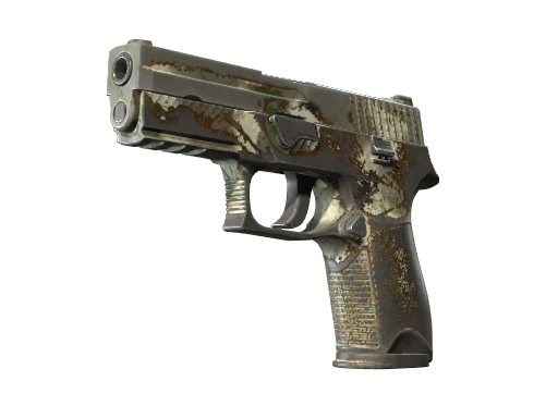 CS2 P250 | Bone Mask - 2