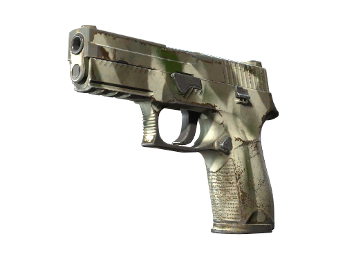 CS2 P250 | Bone Mask - 1