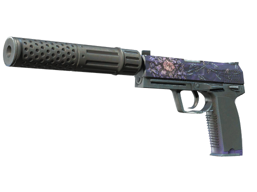 CS2 USP-S | Black Lotus - 1