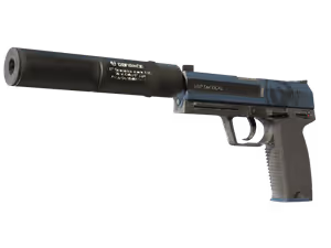 USP-S | Guardian