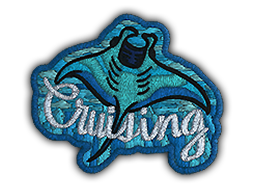 CS2 Patch | Cruising Ray