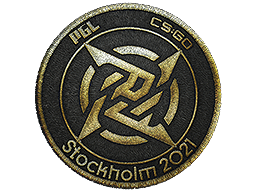 CS2 Patch | Ninjas in Pyjamas | Stockholm 2021