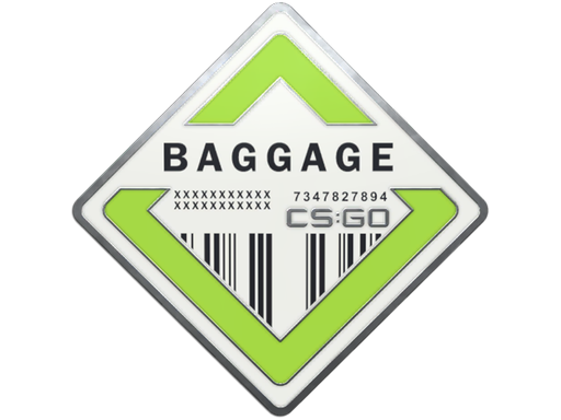 CS2 Baggage Pin