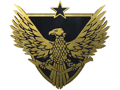 CS2 Brigadier General Pin
