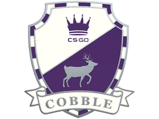 CS2 Cobblestone Pin