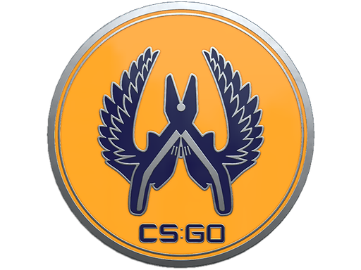 CS2 Guardian 2 Pin