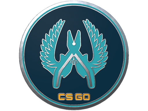 CS2 Guardian Pin