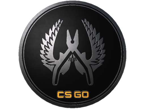 CS2 Guardian Elite Pin