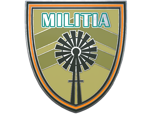 CS2 Militia Pin
