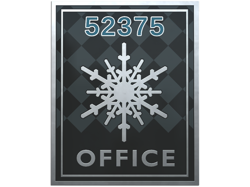 CS2 Office Pin
