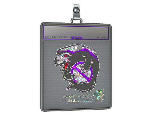 Outsiders - CS2 Sticker