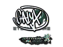 CS2 Calyx