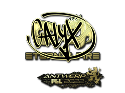 CS2 Calyx
