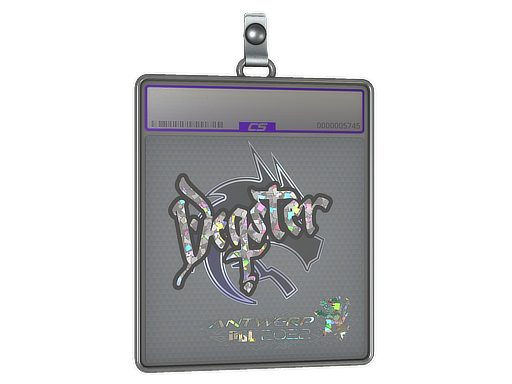 degster - CS2 Sticker