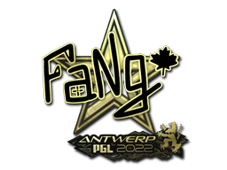 CS2 FaNg
