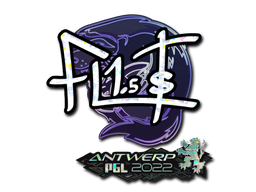 CS2 FL1T