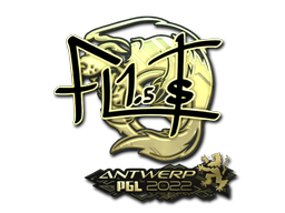 CS2 FL1T