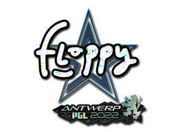 CS2 floppy