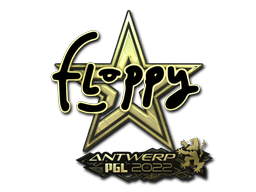 CS2 floppy