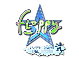 CS2 floppy