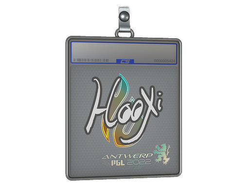 HooXi - CS2 Sticker