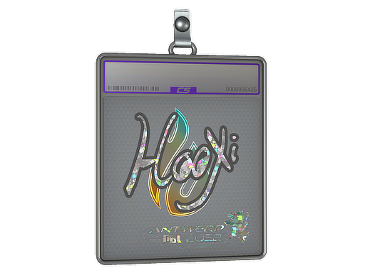 HooXi - CS2 Sticker