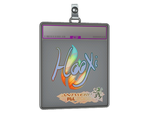 HooXi - CS2 Sticker