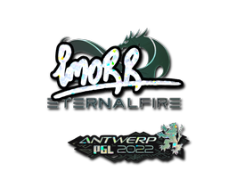CS2 imoRR