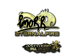 CS2 imoRR