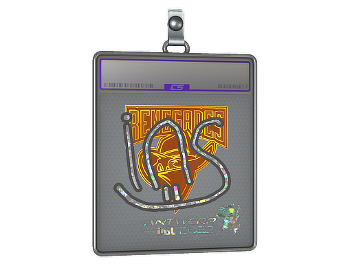 ins - CS2 Sticker