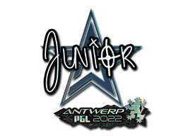CS2 junior