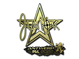 CS2 junior