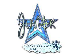 CS2 junior