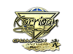 CS2 karrigan