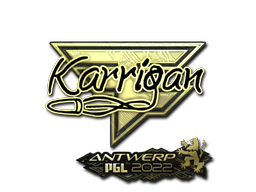 CS2 karrigan