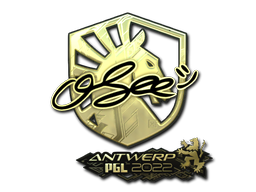 CS2 oSee