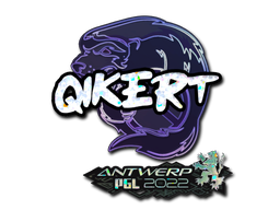 CS2 qikert