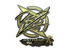CS2 REZ