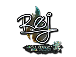 CS2 roeJ