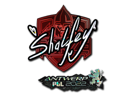 CS2 shalfey