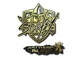 CS2 shalfey