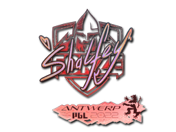 CS2 shalfey