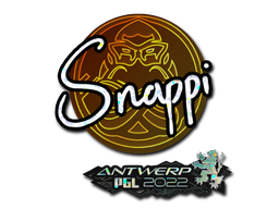 CS2 Snappi