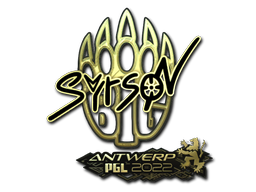 CS2 syrsoN