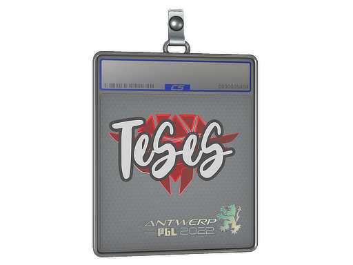 TeSeS - CS2 Sticker
