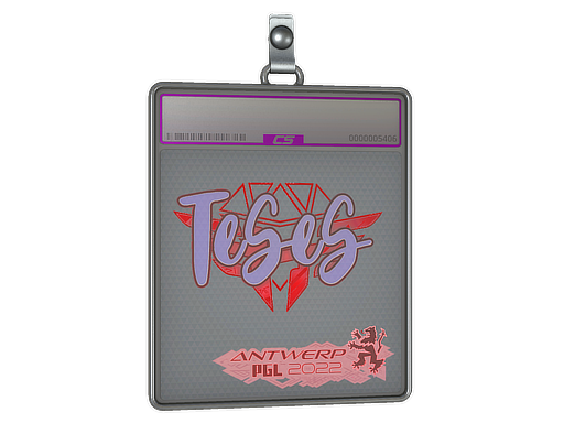 TeSeS - CS2 Sticker