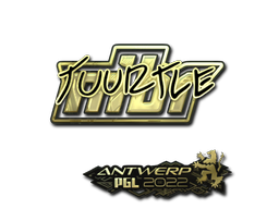 CS2 Tuurtle